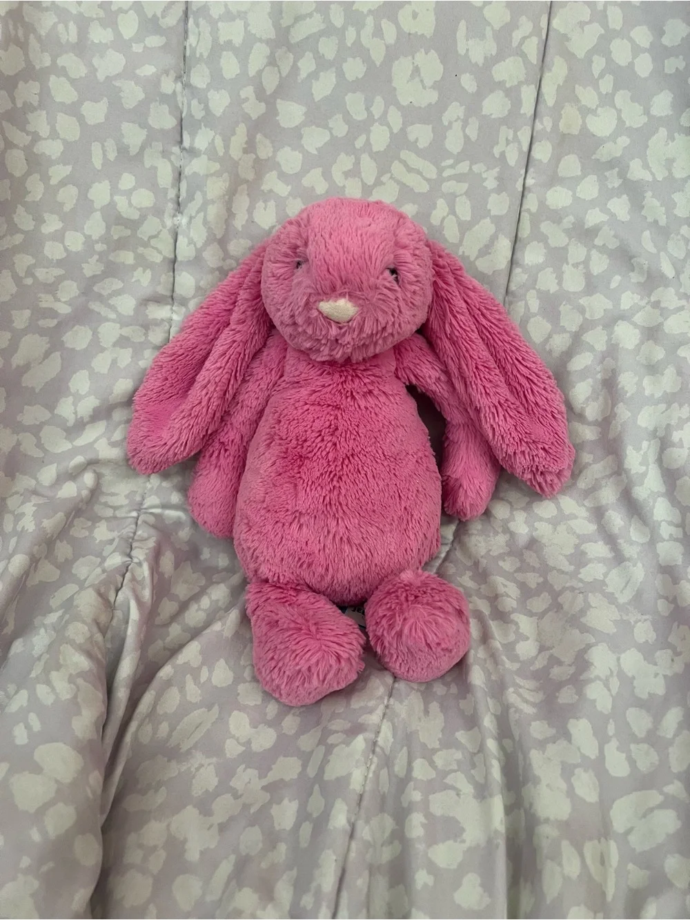 NWT Jellycat Medium Bashful Hot Pink Bunny Retired HTF Authentic